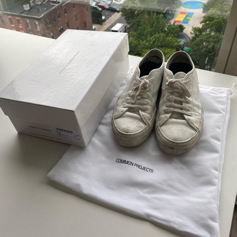 Destroyed Common Projects